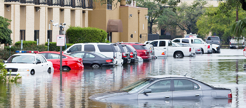 Flooded Street 800p x 353p